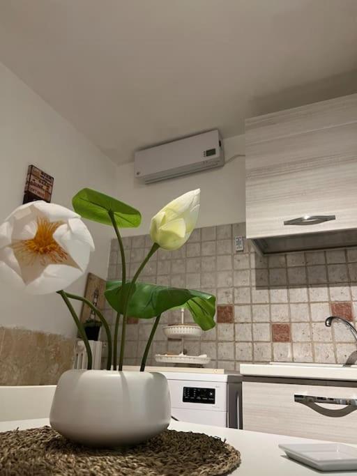 Casa Vacanze “Da Concetta” Bari Exterior foto